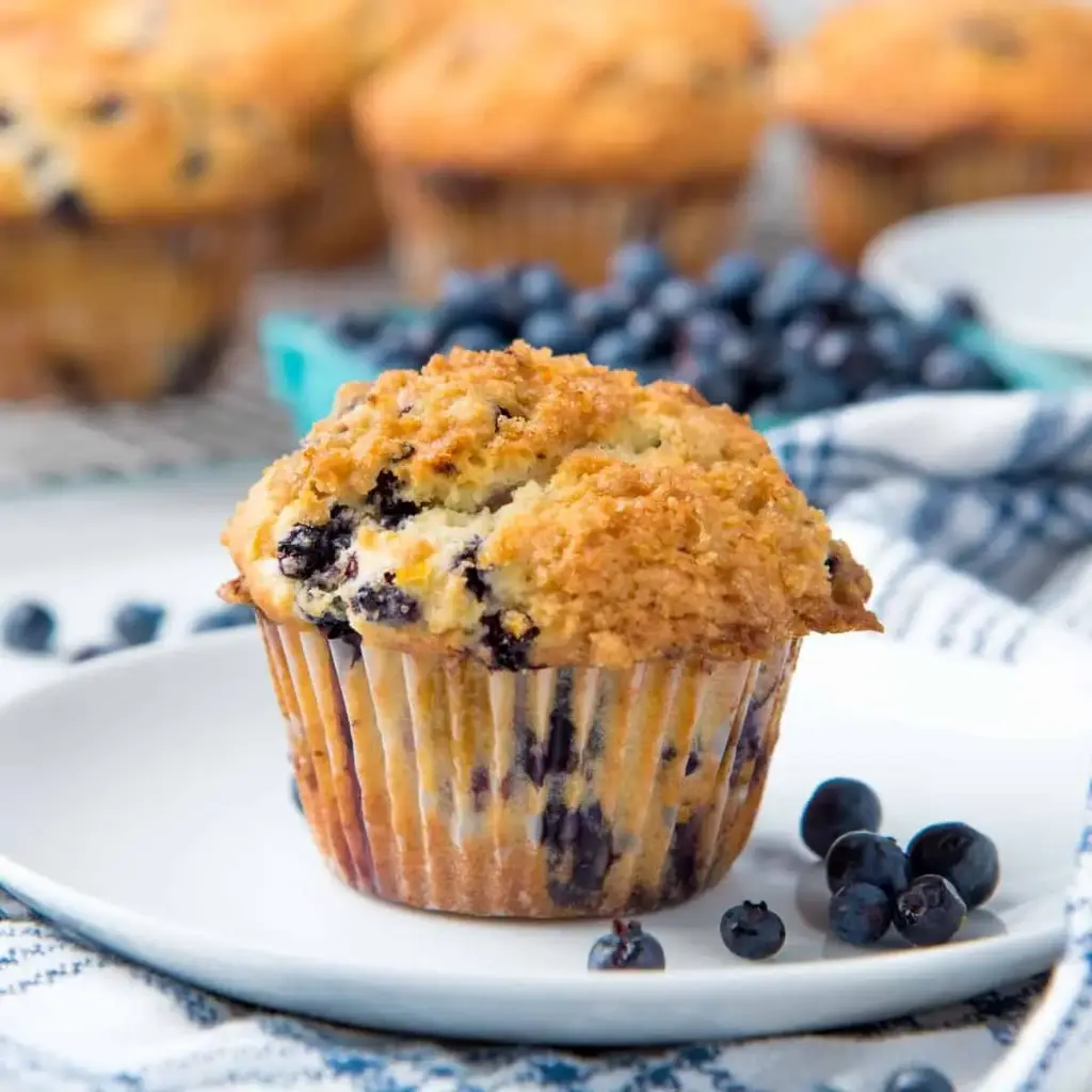 Blueberry Muffin